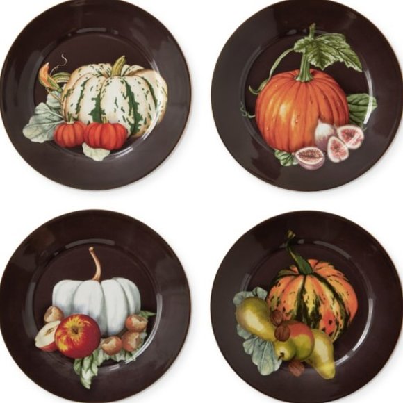 Williams Sonoma Dining Harvest Pumpkin Salad Plates Set Of 4 Poshmark